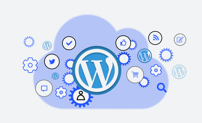 custom wordpress development