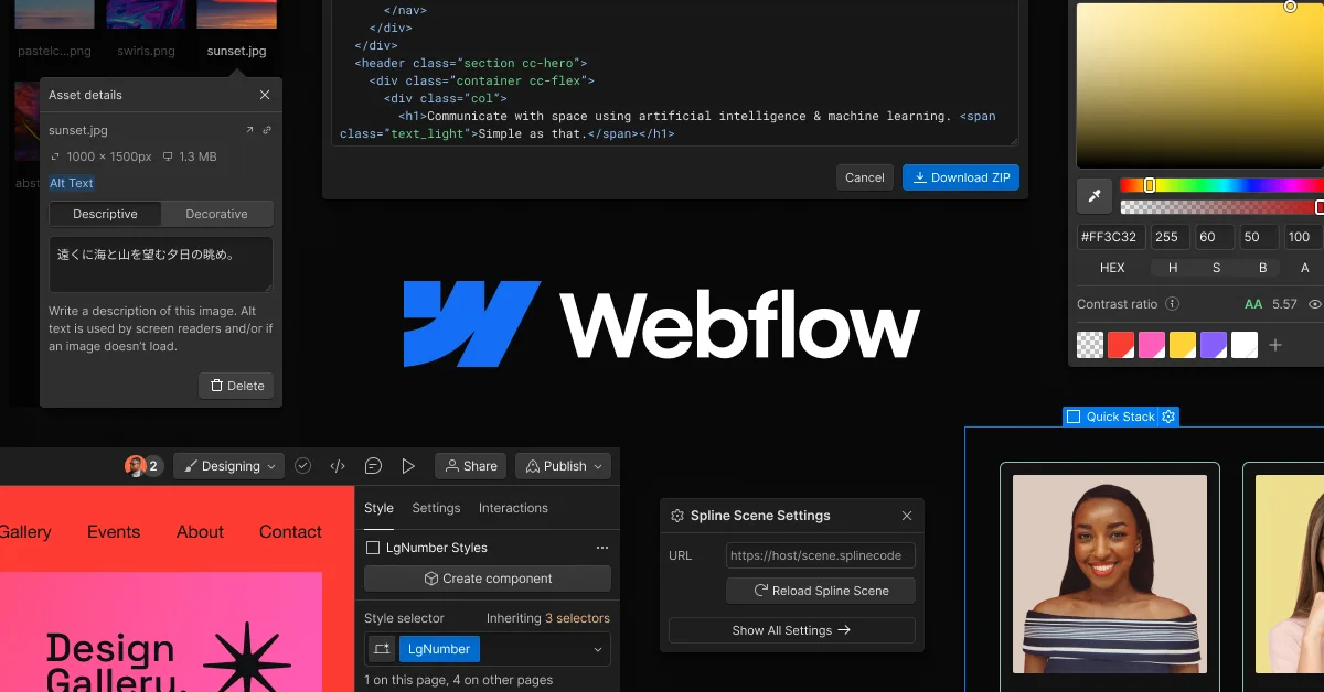 Webflow Maintenance
